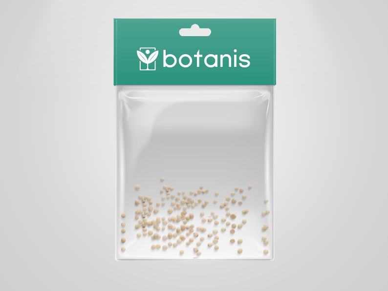 Fico Infectoria – 10 Semi – Ficus Rare, White Fig, Pianta Frutto Edibile, Alta Qualità, Non-GMO - Botanis - Vendita semi online di piante rare