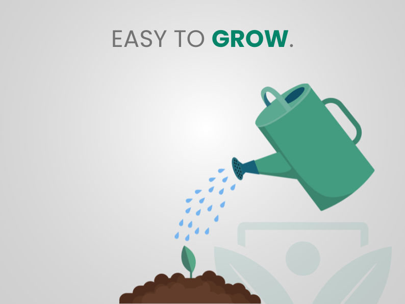 Fico Infectoria – 10 Semi – Ficus Rare, White Fig, Pianta Frutto Edibile, Alta Qualità, Non-GMO - Botanis - Vendita semi online di piante rare