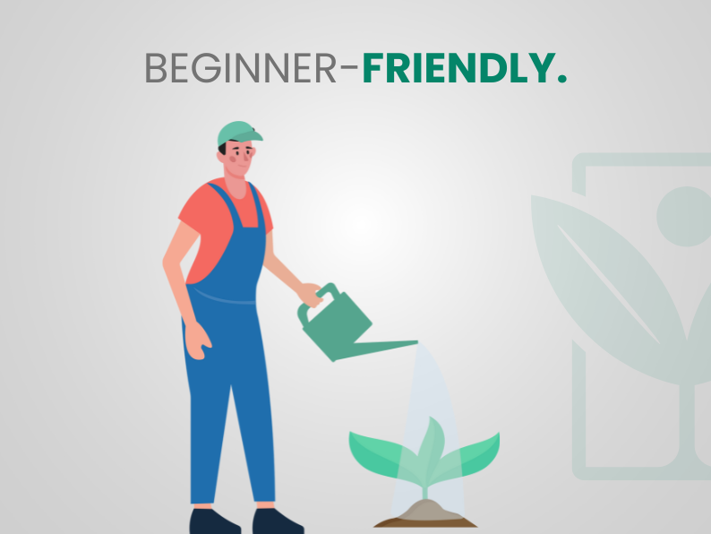 Fico Infectoria – 10 Semi – Ficus Rare, White Fig, Pianta Frutto Edibile, Alta Qualità, Non-GMO - Botanis - Vendita semi online di piante rare