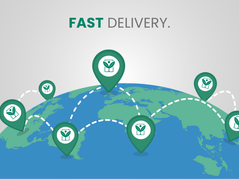 Fico Infectoria – 10 Semi – Ficus Rare, White Fig, Pianta Frutto Edibile, Alta Qualità, Non-GMO - Botanis - Vendita semi online di piante rare