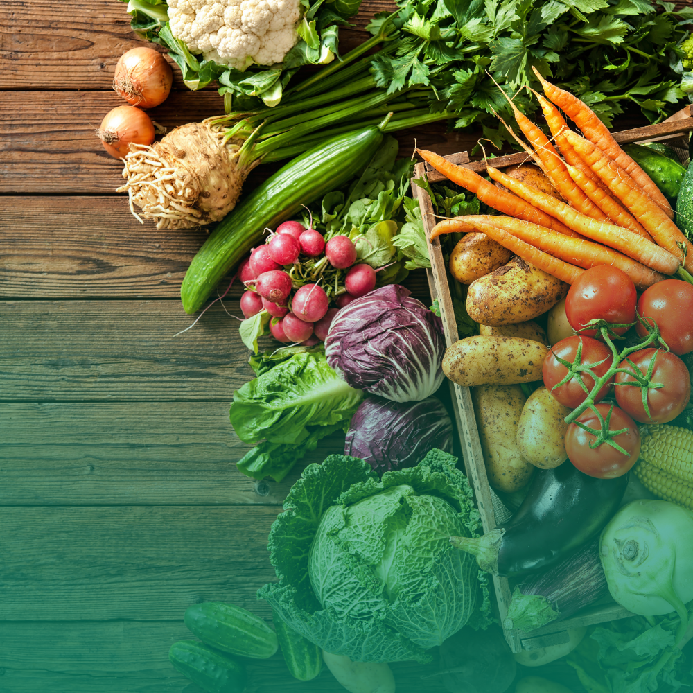 Ortaggi facili per principianti: la guida definitiva per iniziare il tuo orto senza stress