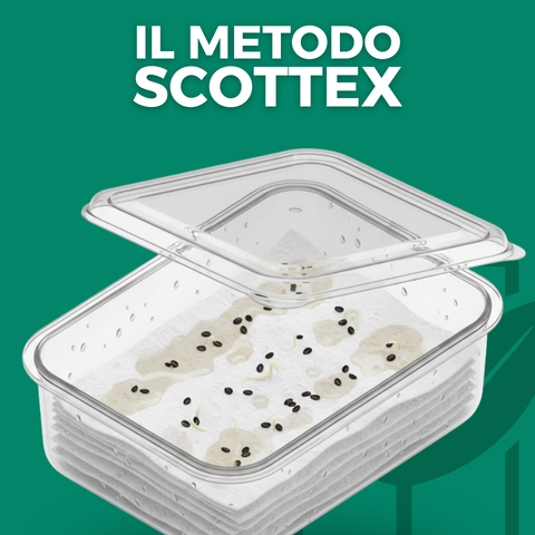 Germinazione accelerata: guida al metodo Scottex