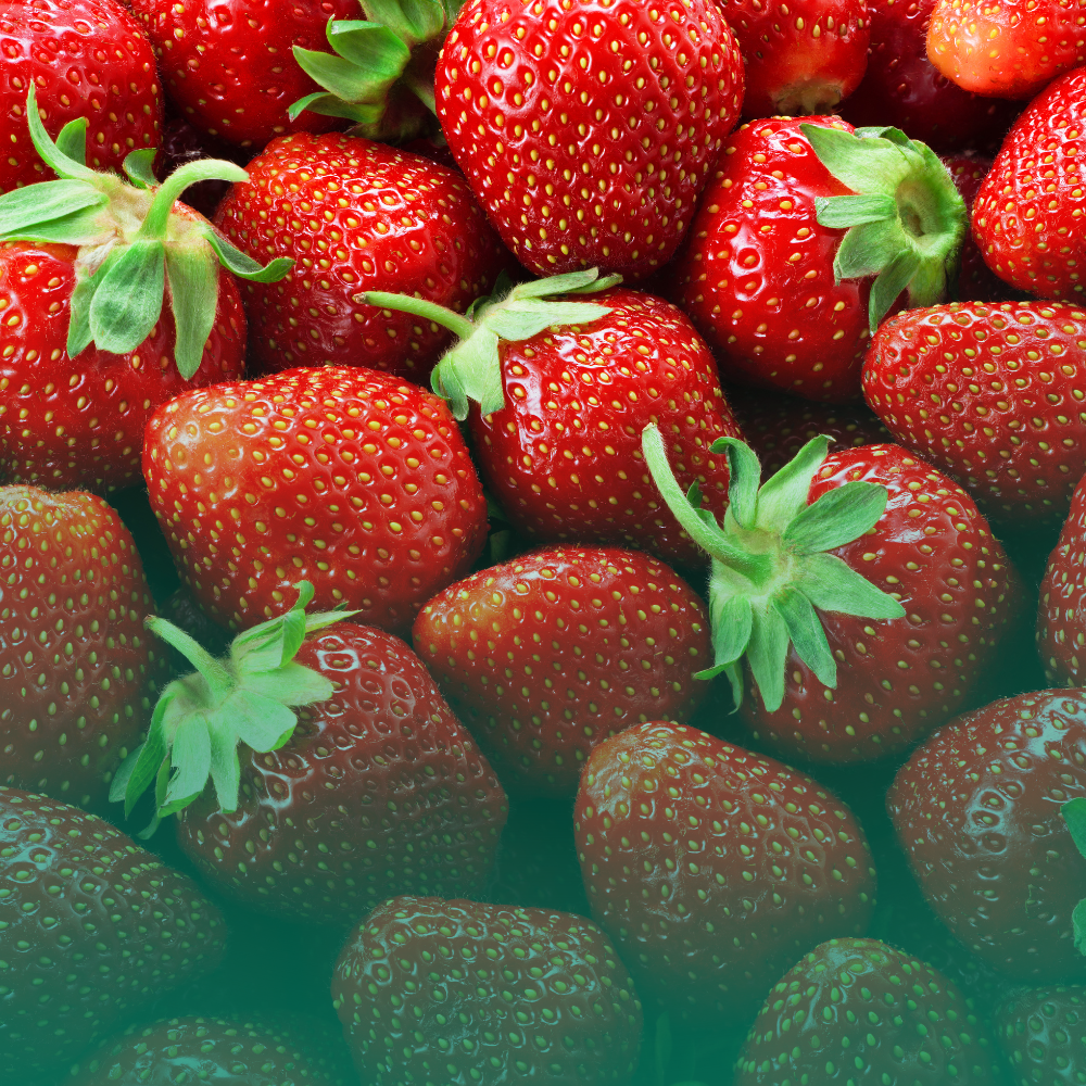 Fragole: la guida definitiva per coltivarle con successo nel tuo orto o balcone