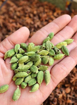 Semi Antichi Shop Online: scopri la biodiversità per il tuo orto