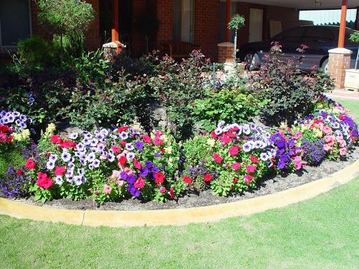Come trasformare il tuo giardino con fiori ornamentali rari e classici: guida allo stile botanico