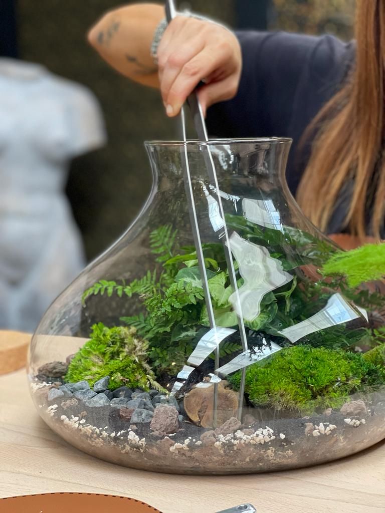 Come costruire un terrario chiuso: la guida passo-passo per il tuo ecosistema