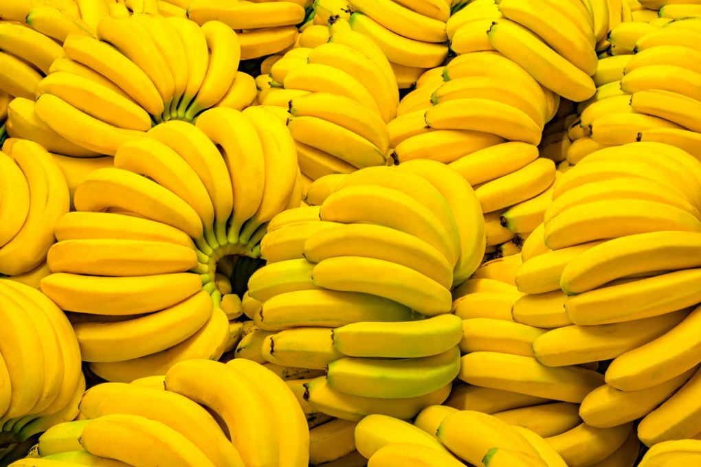 Perché le banane del supermercato non hanno semi? La verità scientifica