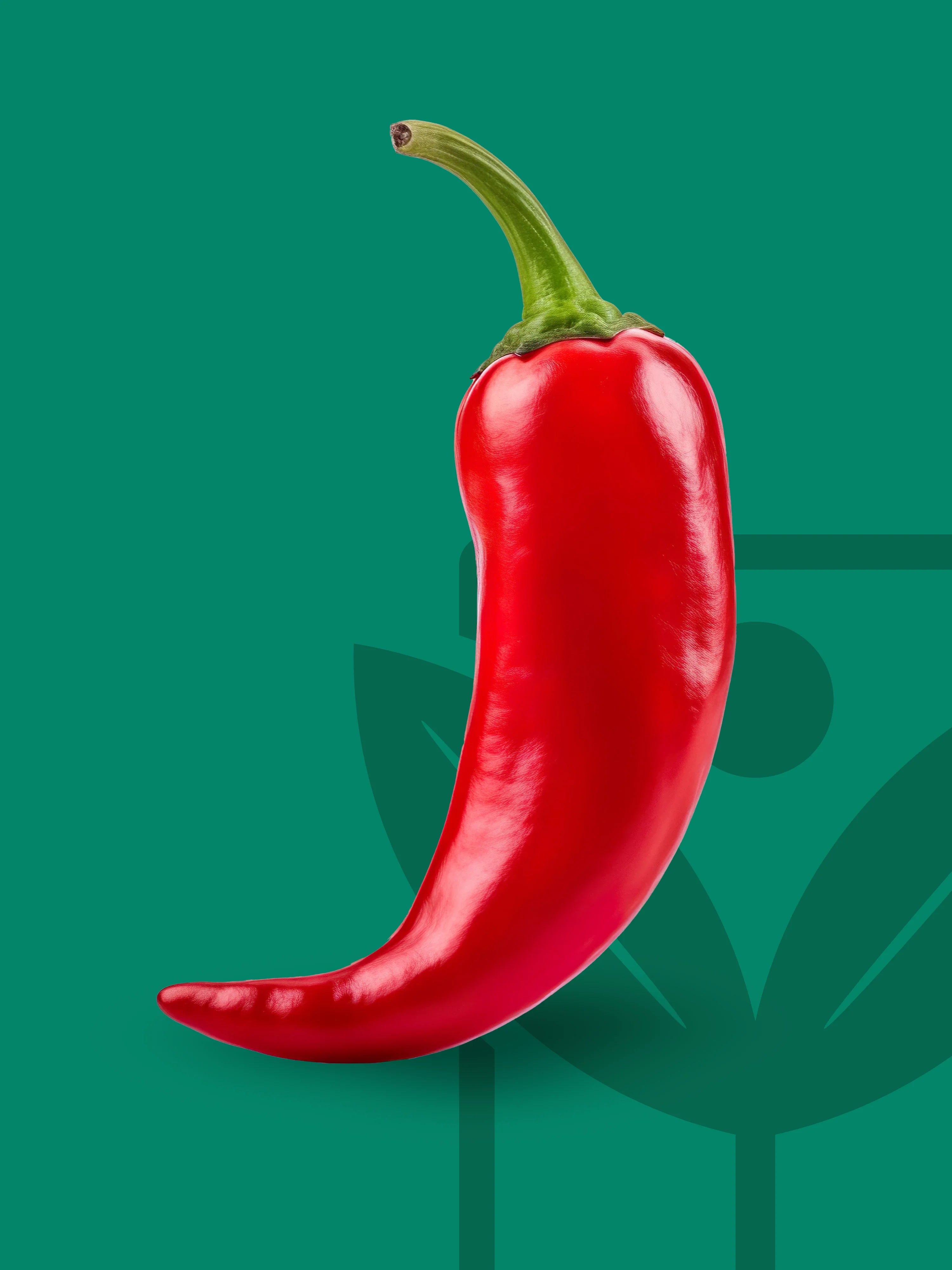 Semi di piante di peperoncino