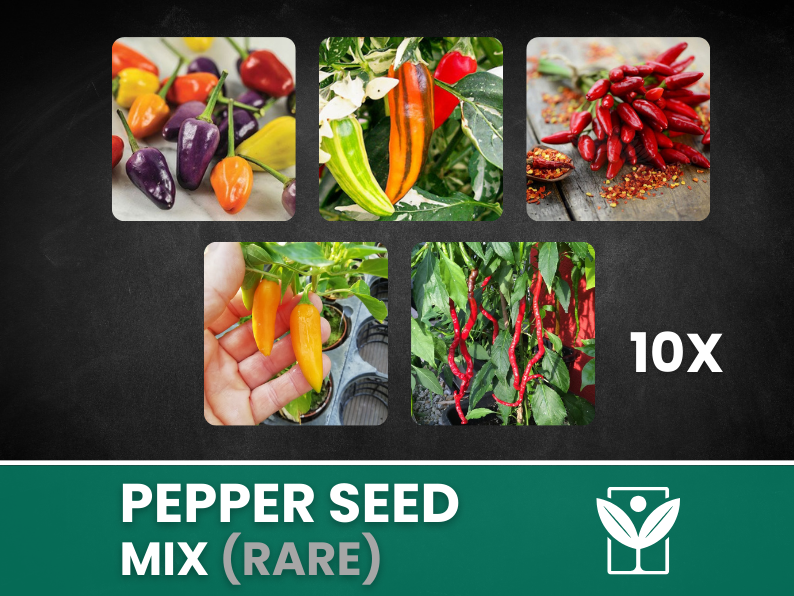 Peperoncini Vari – 50 Semi (10 Tipi) – Assorted Rare Pepper Seeds, Alta Qualità, Ornamentali, Facile da Coltivare, Alta Germinabilità, Non-GMO