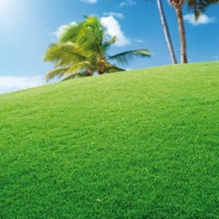 Semi di Prato Ornamentale - 10.000 semi - Miscela elegante e fine, ideale per giardini e aree decorative.