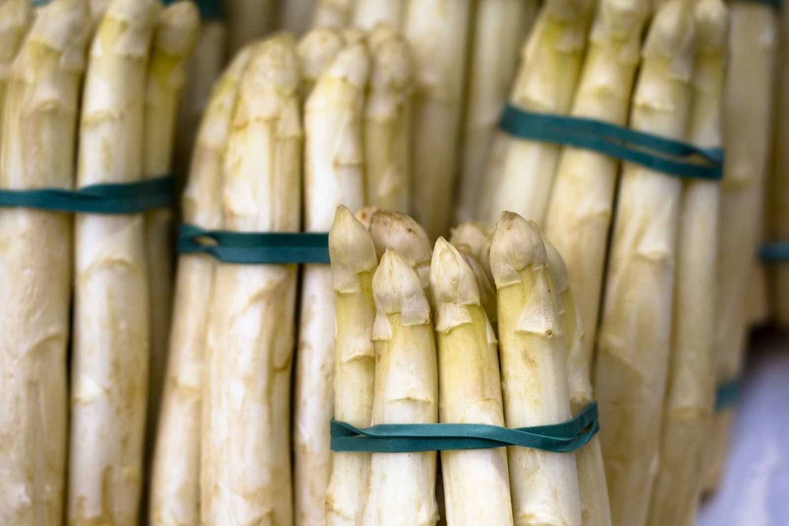 Asparago Bianco – 10 Semi, Ornamentale, Spinoso, Giardino, Facile da Coltivare, Alta Germinabilità, Non-GMO