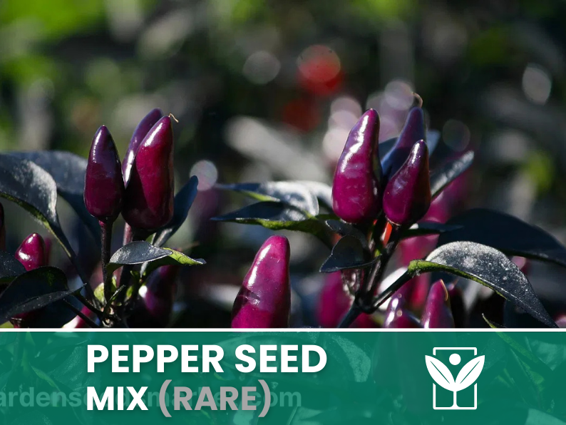 Peperoncini Vari – 50 Semi (10 Tipi) – Assorted Rare Pepper Seeds, Alta Qualità, Ornamentali, Facile da Coltivare, Alta Germinabilità, Non-GMO - Botanis - Vendita semi online di piante rare