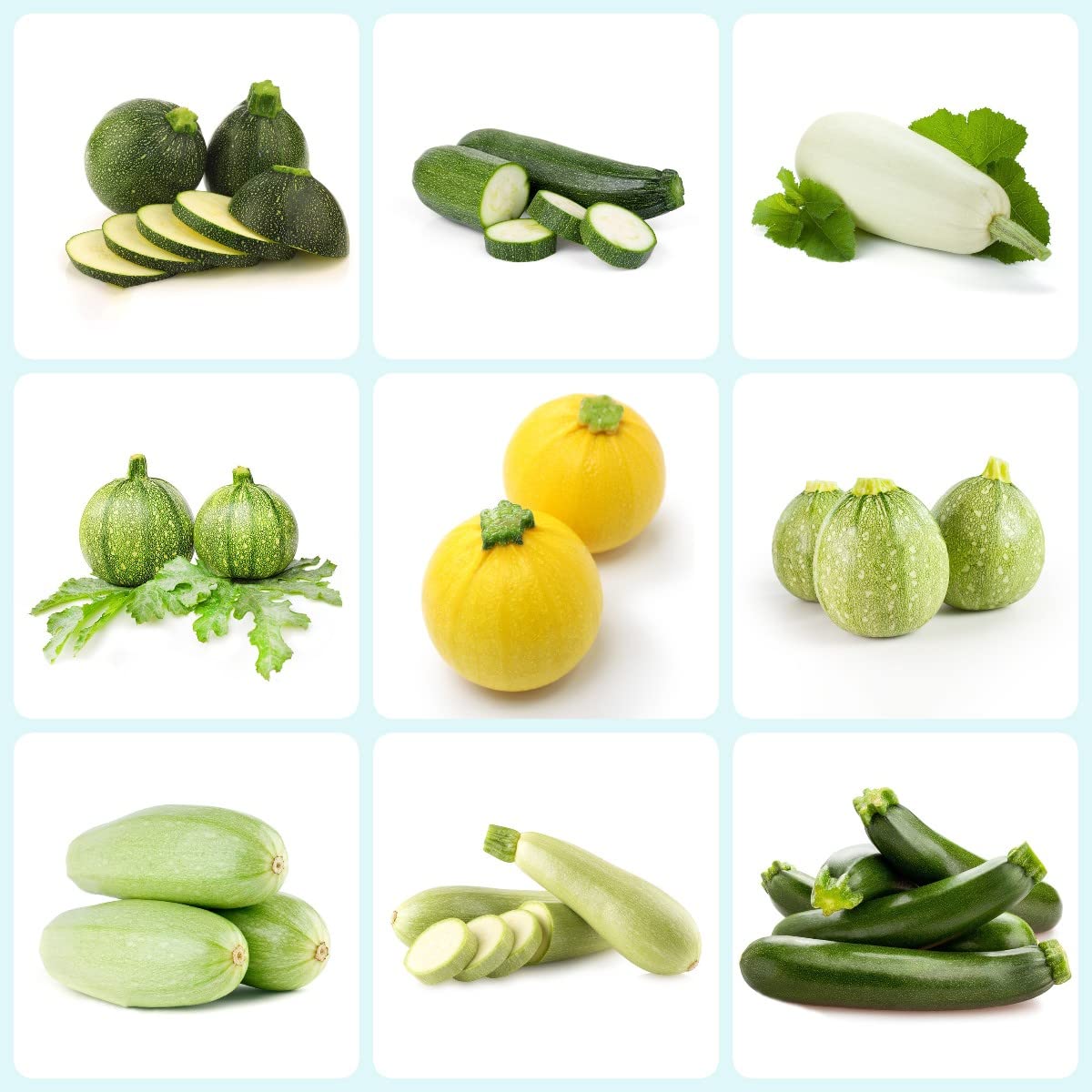 Zucchine Mix – 20 Semi – Varietà Miste, Ideale per Orto Variato, Produttive, Non-GMO