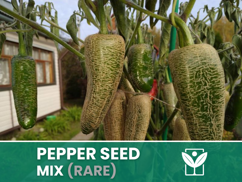 Peperoncini Vari – 50 Semi (10 Tipi) – Assorted Rare Pepper Seeds, Alta Qualità, Ornamentali, Facile da Coltivare, Alta Germinabilità, Non-GMO - Botanis - Vendita semi online di piante rare