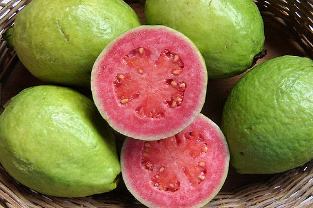 Guava Comune – 10 Semi, Polpa Rosa, Profumatissima, Per Succhi, Facile da Coltivare, Alta Germinabilità, Non-GMO