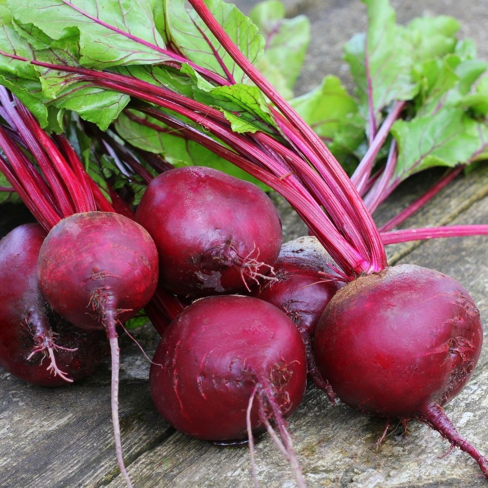 Barbabietola Detroit – 50 Semi, Radice Tonda, Polpa Rossa, Uso Alimentare, Facile da Coltivare, Alta Germinabilità, Non-GMO