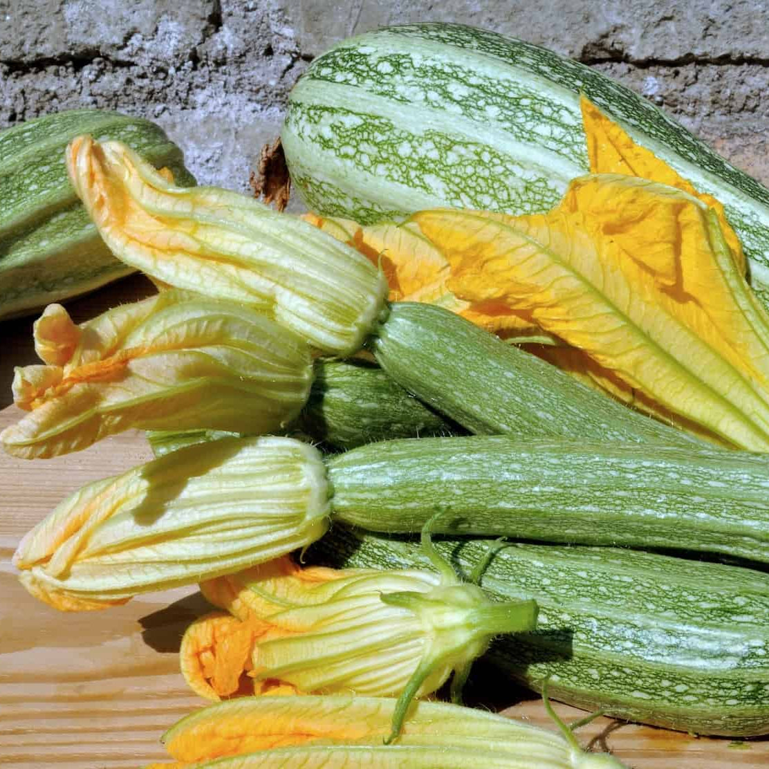 Zucchino San Pasquale con fiori freschi, semi rari e gustosi per un orto ecologico e tradizionale.