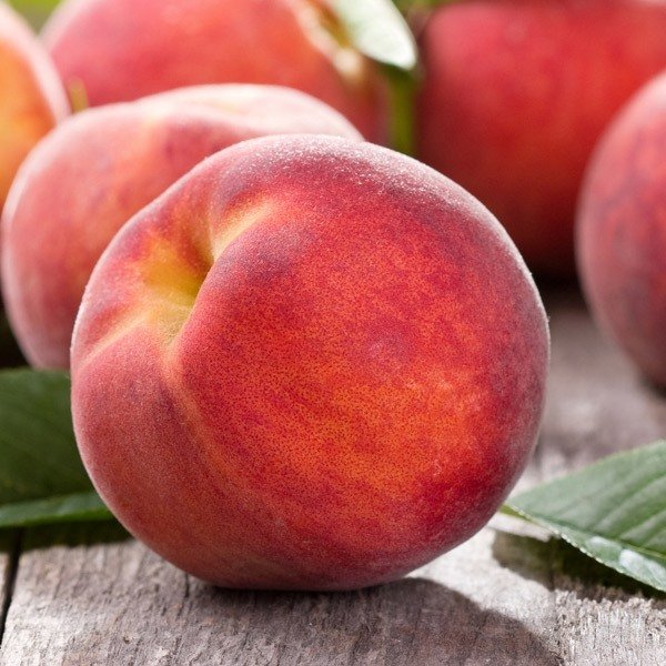 Pesco Fayette (Gialla) – 5 Semi, Frutto Grosso e Rosso, Polpa Soda Spicca, Maturazione metà Agosto, Non-GMO