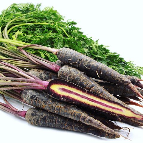 Carota Black Knight – 50 Semi, Quasi Nera, Colore Estremo, Rarità Assoluta, Facile da Coltivare, Alta Germinabilità, Non-GMO