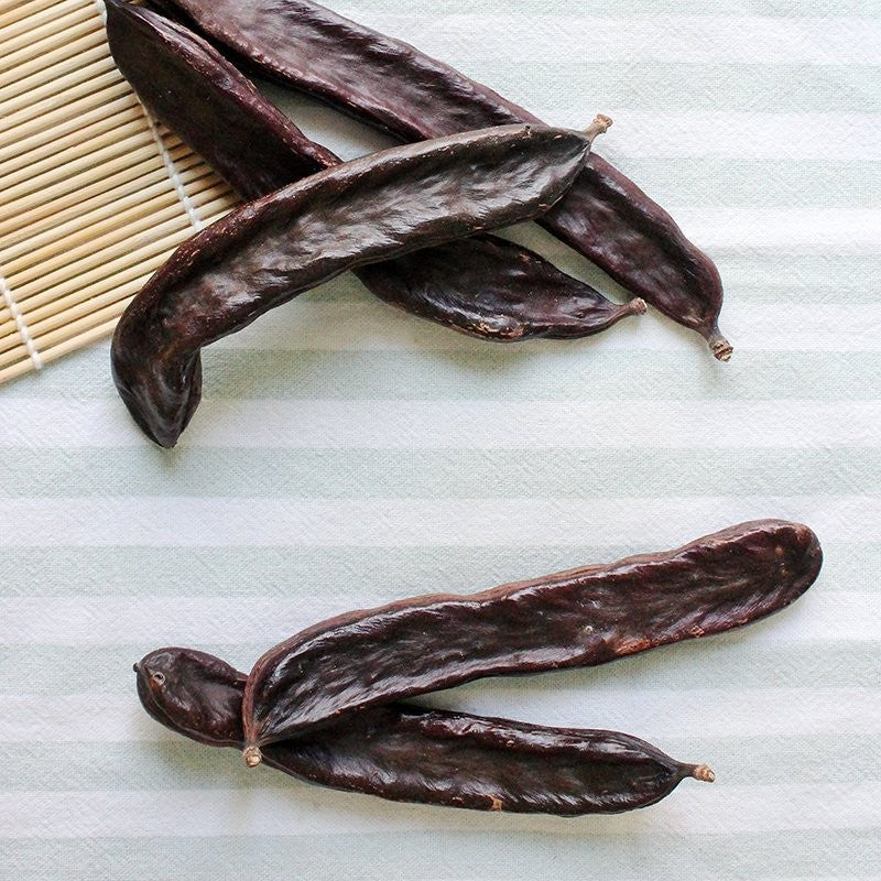 Carrubo Amele – 10 Semi, Molto Produttivo, Baccelli Carnosi, Dolcezza Extra, Facile da Coltivare, Alta Germinabilità, Non-GMO