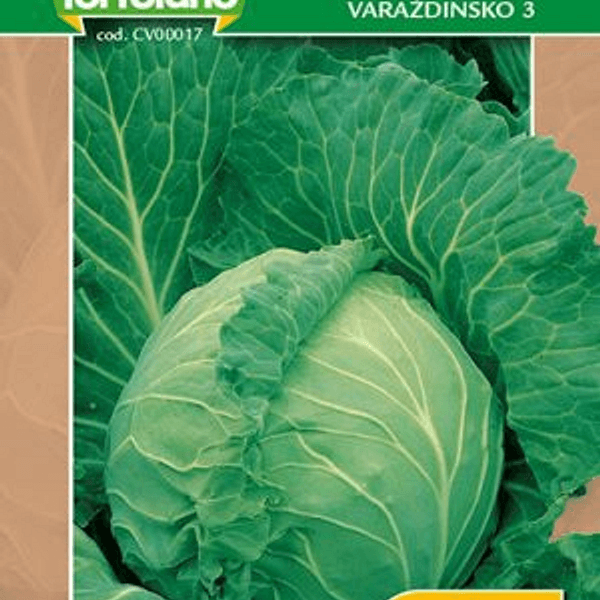 CAVOLO CAPPUCCIO FUTOSKI - Semi da orto di alta qualità