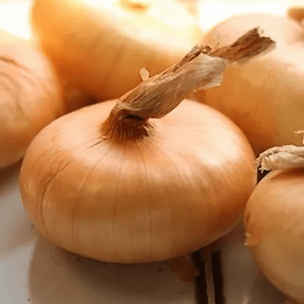 CIPOLLA BORRETTANA - Semi da orto di alta qualità
