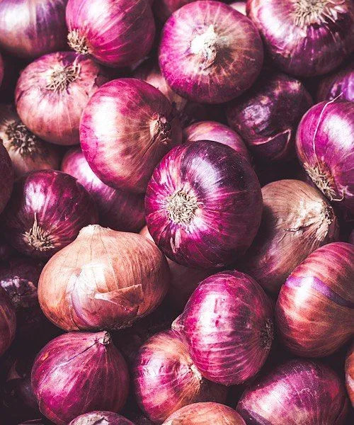 Cipolla Rossa Savonese – 30 Semi, Varietà Locale, Gusto Intenso, Storica, Facile da Coltivare, Alta Germinabilità, Non-GMO