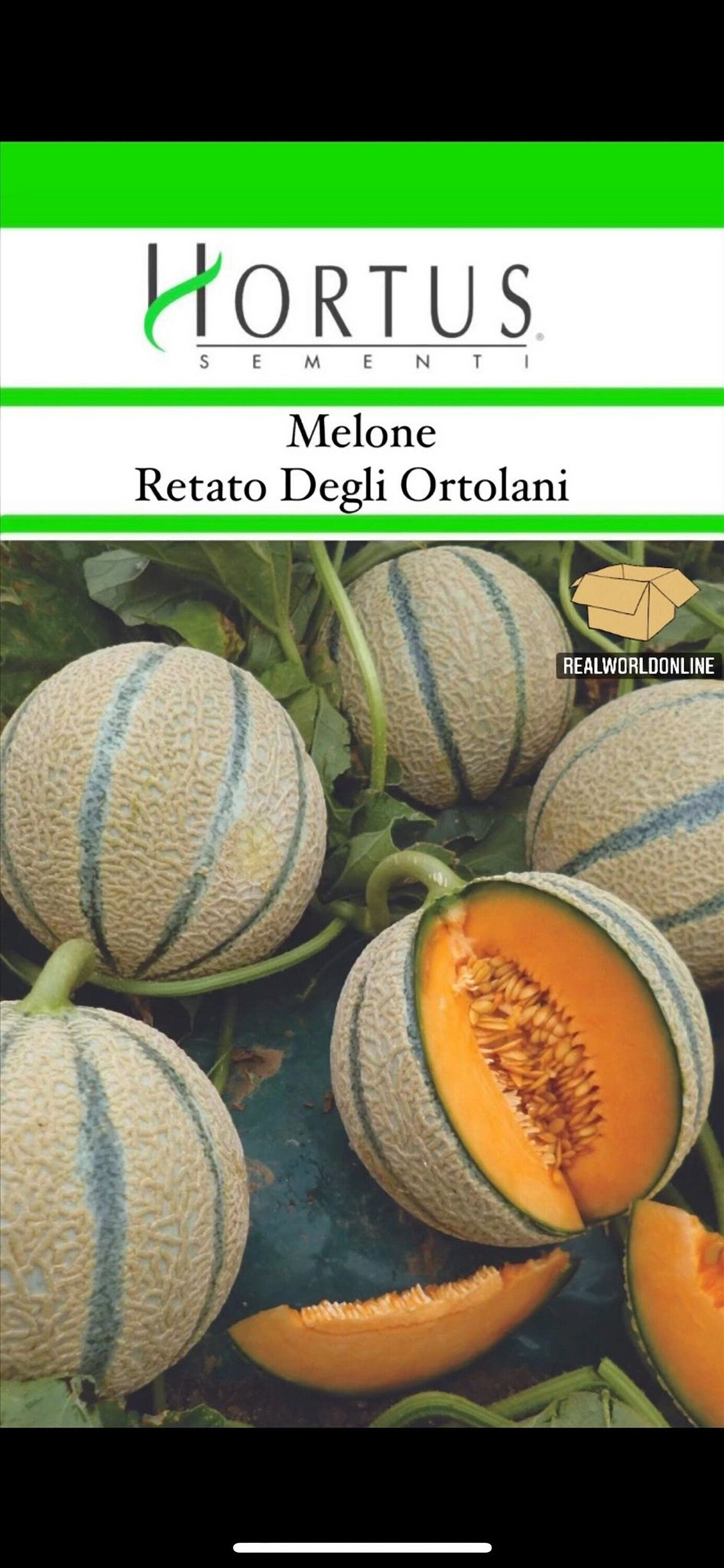 Semi HORTUS di MELONE retato degli ortolani - GIGANTE - Selezionati - Hortus Sementi - Alta Germinabilità - Semi Rari