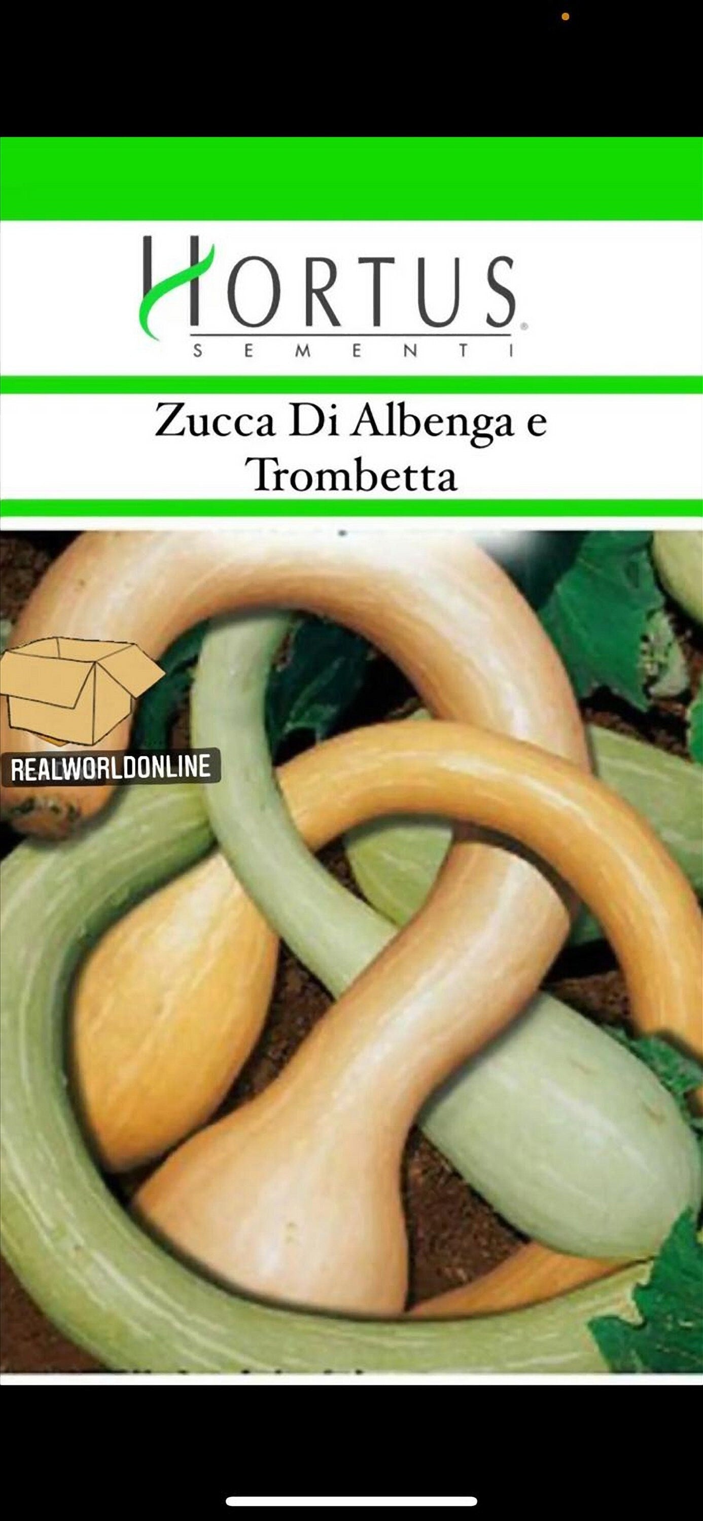 Semi HORTUS di ZUCCA TROMBETTA  - gigante - Selezionati - Hortus Sementi - Alta Germinabilità - Semi Rari