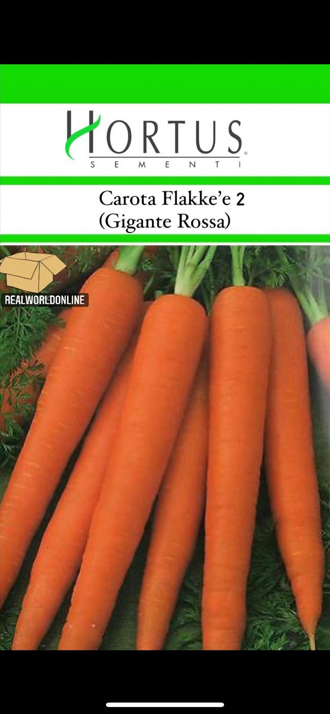 Semi HORTUS di CAROTA FLAKKE' e 2 gigante rossa - rarissimo  - gigante - Selezionati - Hortus Sementi - Alta Germinabilità - Semi Rari