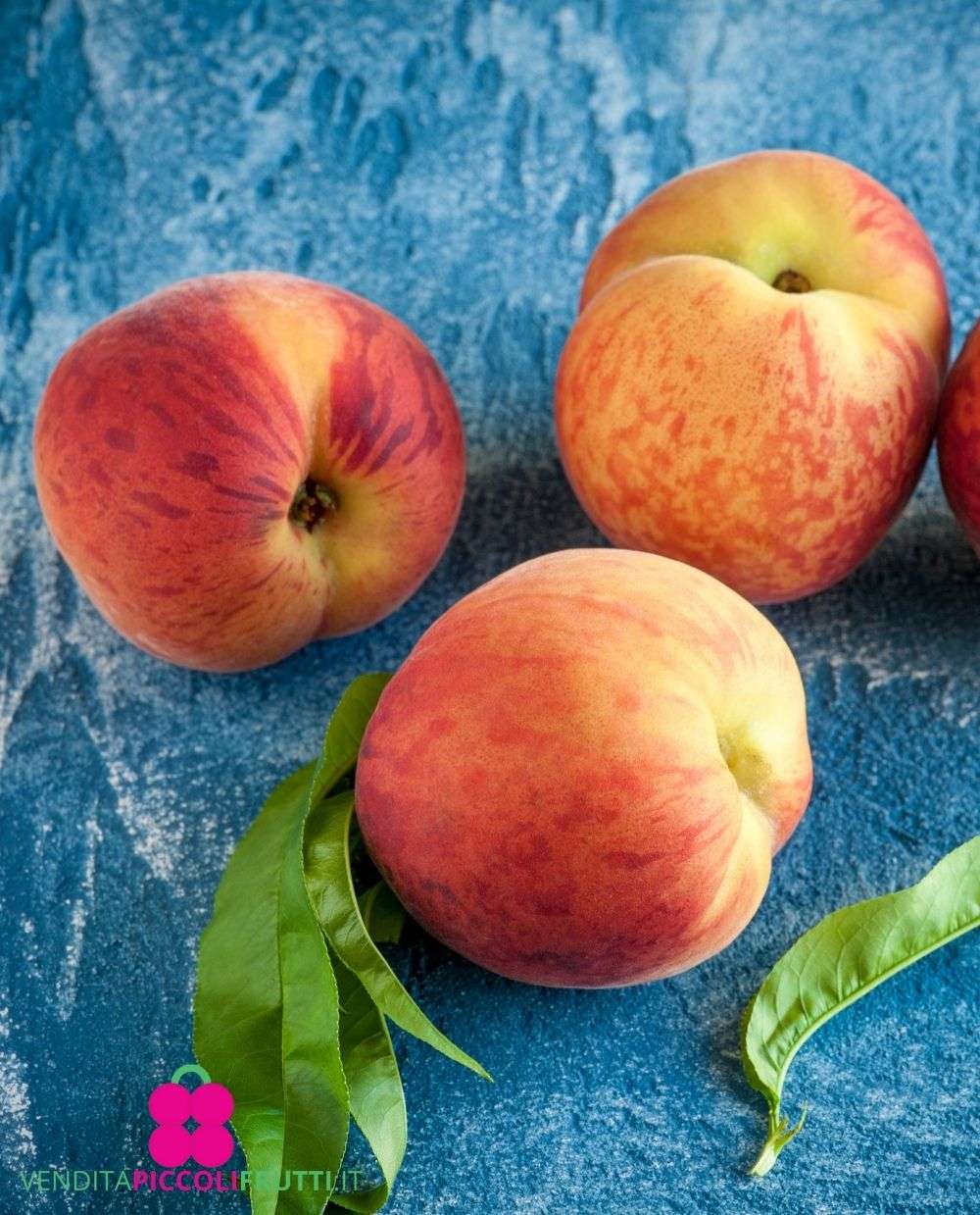 Springcrest Yellow Flesh Peach – 5 Seeds, Early Peach, Juicy Yellow Flesh, Fragrant, Easy to Grow, High Germinability, Non-GMO