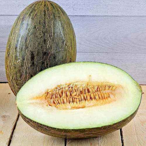 Sapo Melon – 30 Seeds, Spotted Skin, White Flesh, Very Sweet, Easy to Grow, High Germinability, Non-GMO