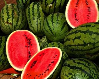 10 Semi di Anguria Klondike - Semi Freschi, Alta Germinabilità, No-GMO