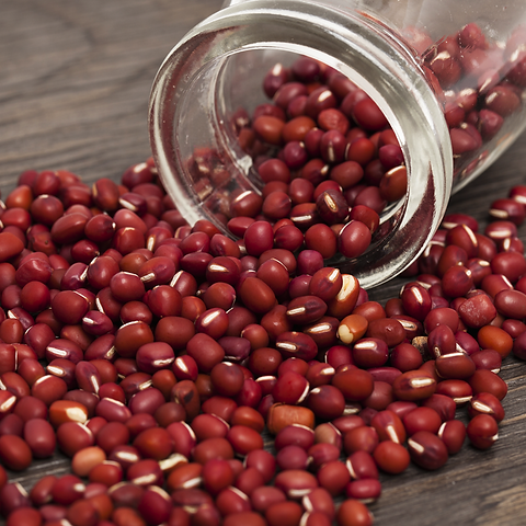 Red Azuki Bean – 10 Seeds, Small Sweet Legume, Protein and Versatile, Oriental Tradition, Easy to Grow, High Germinability, Non-GMO