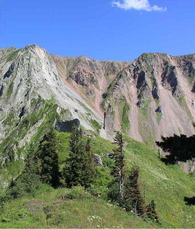 Abete Khingan – 10 Semi, Estremo Oriente, Rustico, Parco, Facile da Coltivare, Alta Germinabilità, Non-GMO