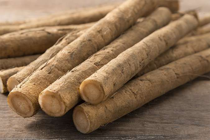 Gobo Bardana Giapponese – 10 Semi, Radice Edibile e Salutare, Ingrediente Tradizionale, Forte, Facile da Coltivare, Alta Germinabilità, Non-GMO