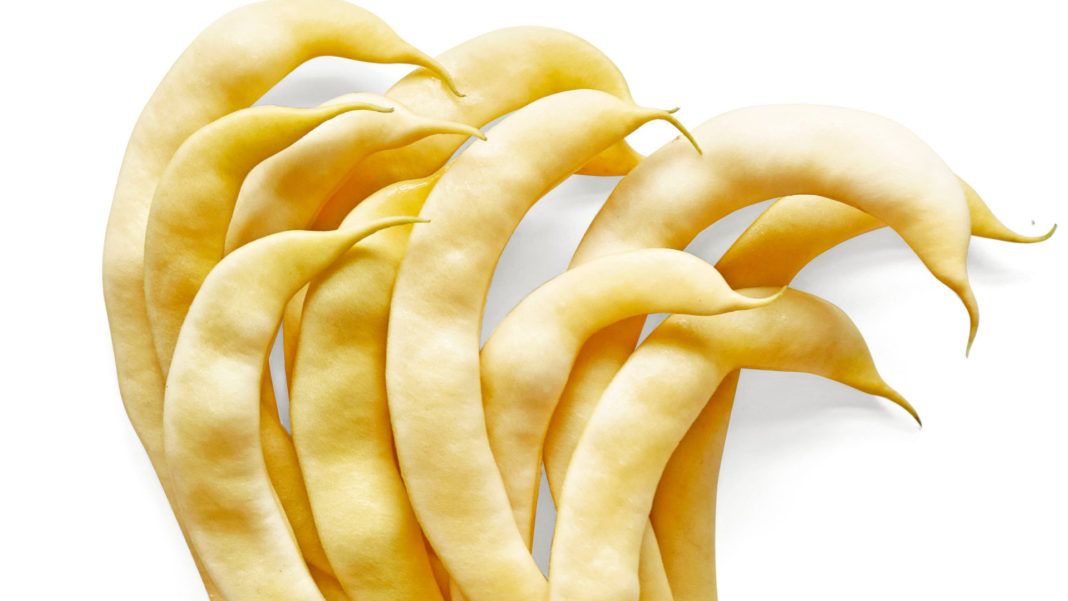 Yellow Ringed Runner Bean – 10 Seeds, Hooked Pod, Golden Yellow, Stringless, Easy to Grow, High Germinability, Non-GMO