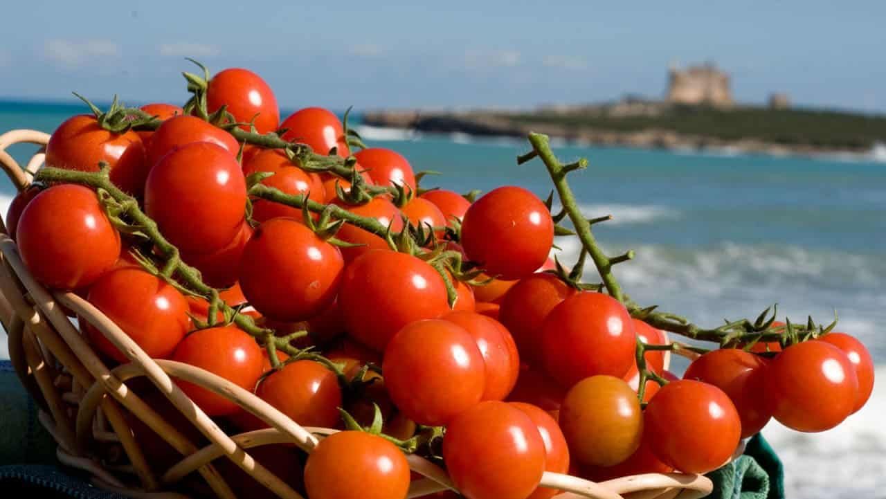 50 Semi di Pomodoro Pachino Solanum lycopersicum Pachino – Semi Freschi, Alta Germinabilità, No-GMO