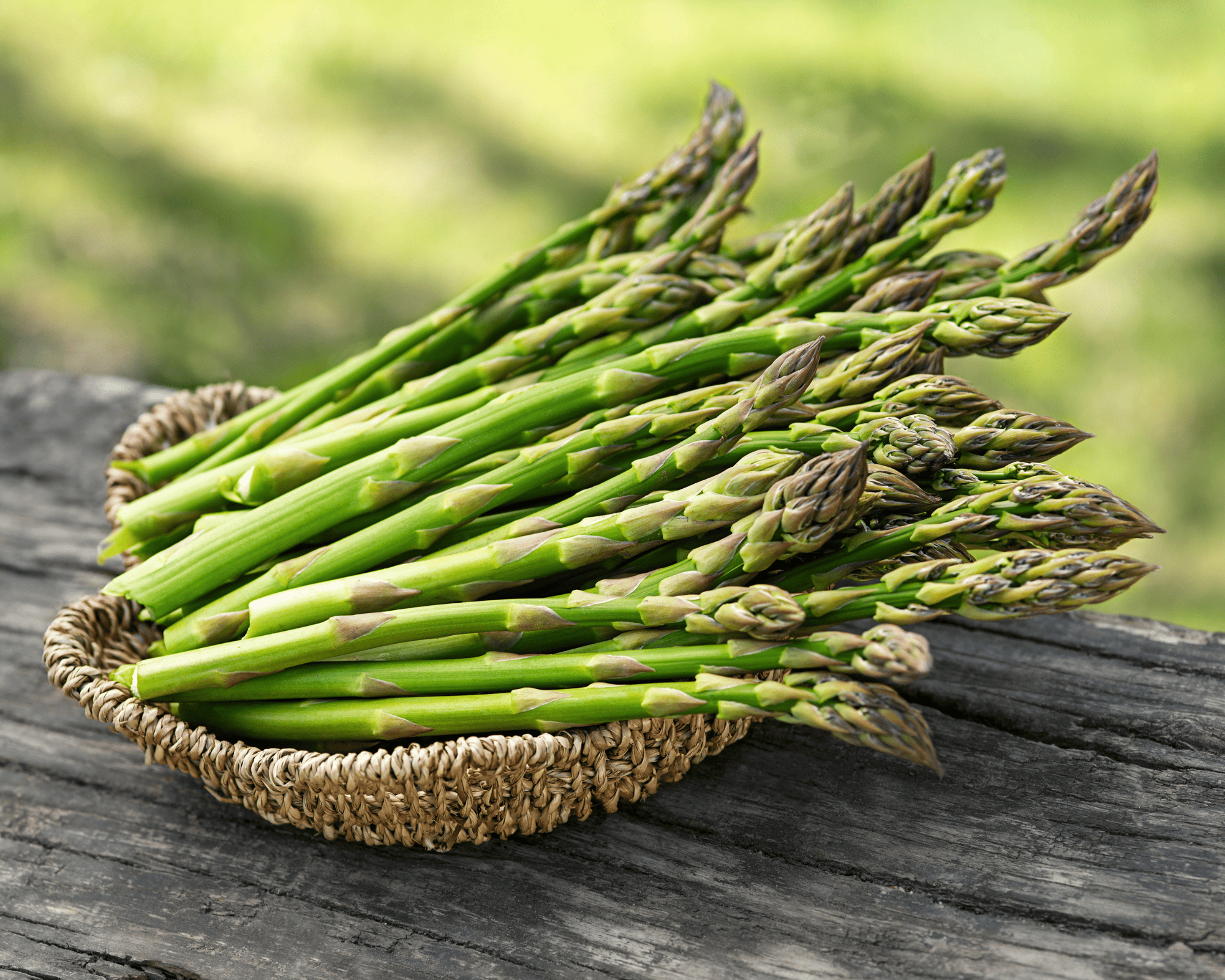 10 Semi di Asparago Argenteuil - Semi Freschi, Alta Germinabilità, No-GMO