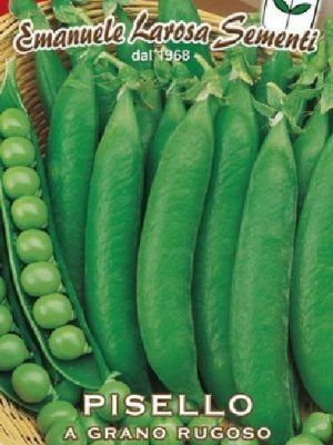 Pisello Mezza Rama All Taste – 10 Semi, Sapore Superiore, Baccello Tenero, Alta Resa, Facile da Coltivare, Alta Germinabilità, Non-GMO