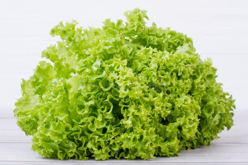 Lattuga Verde Riccia – 30 Semi, Da Taglio, Colore Intenso, Fresca, Facile da Coltivare, Alta Germinabilità, Non-GMO